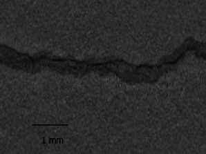 Présence d'une microfissure dans les insolubles accumulés dans une stlolite, par tomographie X.