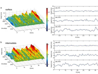 Modèle numérique de stylolitisation d'une interface initialement plane. D'après Koehn et al., EPSL 2007.