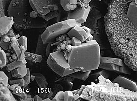 Clinoptilolite néoformée dans les carbonates miocènes de la plateforme des Bahamas (ODP 166), par la dissolution de silice biogène (photo A.M. Karpoff)