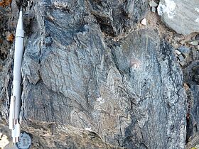 Métasédiments plissés (type kink-bands) datant du Dévonien, Altaï chinois, Province du Xinjiang. (photo A. Guy)