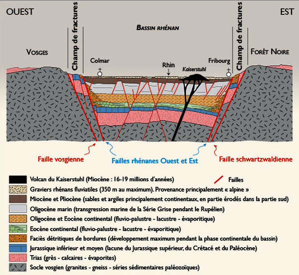 Coupe géologique très schématisée du Fossé rhénan supérieur à la latitude de Colmar, montrant la disposition des failles et le remplissage sédimentaire. Auteurs : Coralie Aichholzer, Pauline Harlé, Philippe Duringer