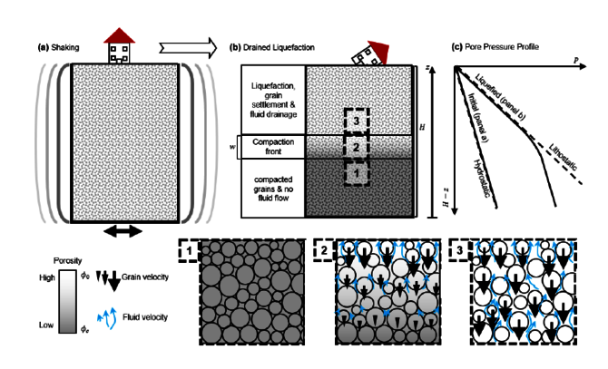 Schémas de la dynamique du front de compaction durant la liquéfaction des sols en conditions drainées. Schéma de principe de liquéfaction de sols drainés